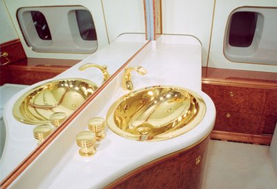 نمای داخلی از هواپیمای پوتین (تصویری)