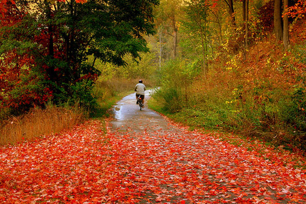 عکس های فوق العاده زیبا از پاییز هزار رنگ کانادا