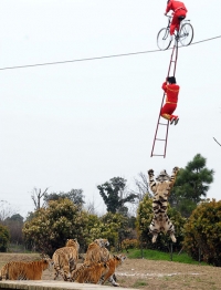 دیدنی های امروز