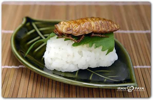 چندش آورترین غذاهای شرق آسیا (تصویری) www.TAFRIHI.com