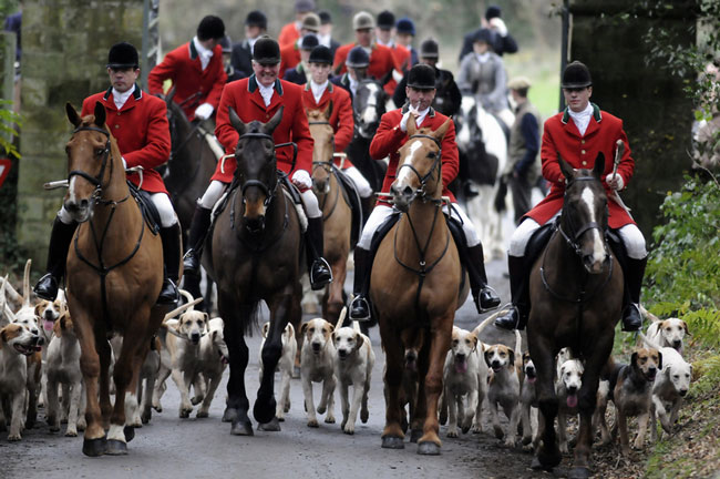 گروه اینترنتی ایران سان