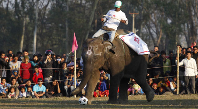 گروه اینترنتی ایران سان