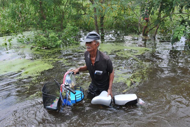 گروه اینترنتی ایران سان