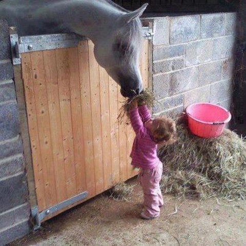 بدون شرح