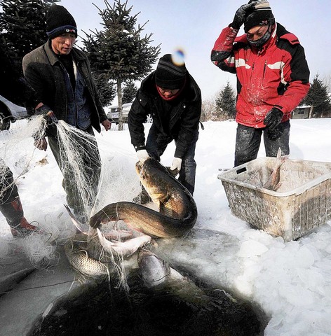 صید ماهی از دریاچه ای یخ زده 