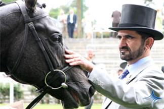 حاکم دبی در مسابقات اسب سواری انگلیس+عکس
