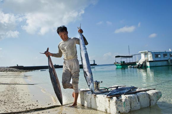 ماهیگیری در جزیره یونگشینگ