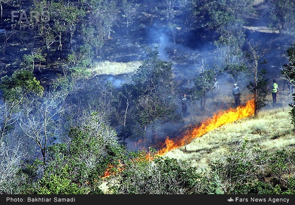 آتش سوزی در دامنه کوه های سنندج (عکس)