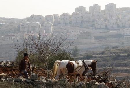 صدور حکم بزرگترین مصادره 30 سال گذشته زمین های فلسطین توسط اسرائیل