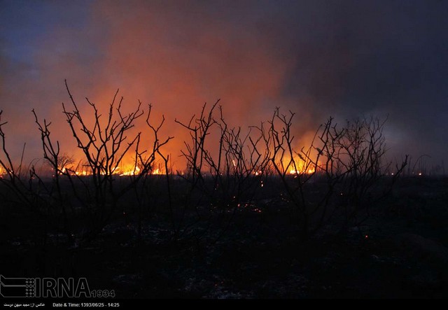 آتش‌سوزی در جزیره ایرانی دریای خزر (عکس)