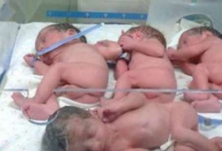 نوزادان چهار قلو در مشهد بدنیا آمدند