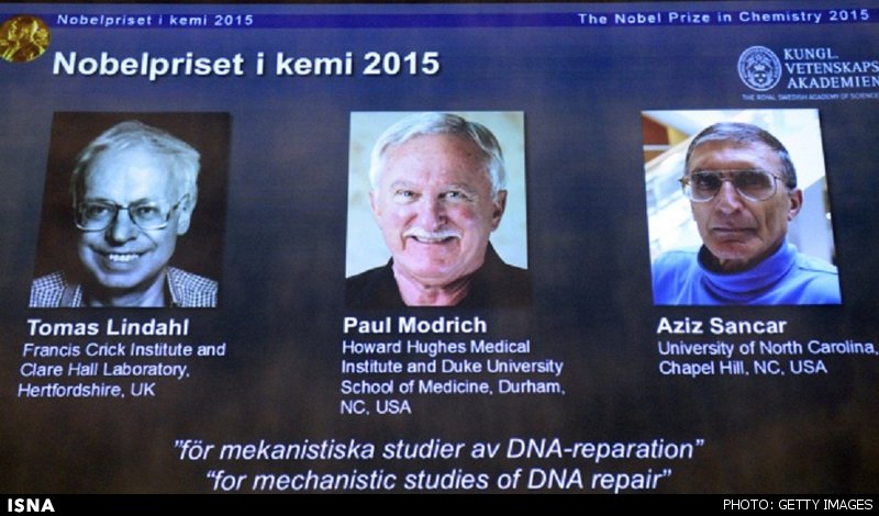 برندگان نوبل شیمی 2015 معرفی شدند