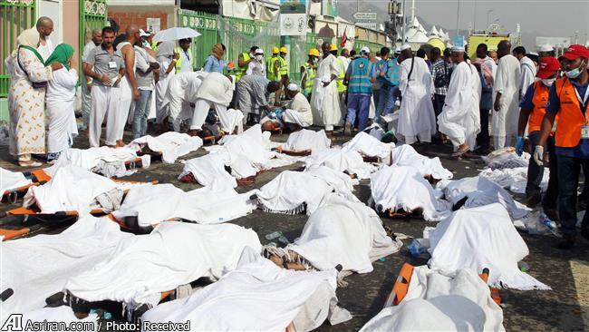 آمار جدید: تعداد کشته شدگان منا به 2000 نفر رسید/ نیجریه با 600 کشته در صدر/ کدام استان ها بیشترین کشته و مجروح را داشتند؟/زنان ایرانی چگونه نجات یافتند؟