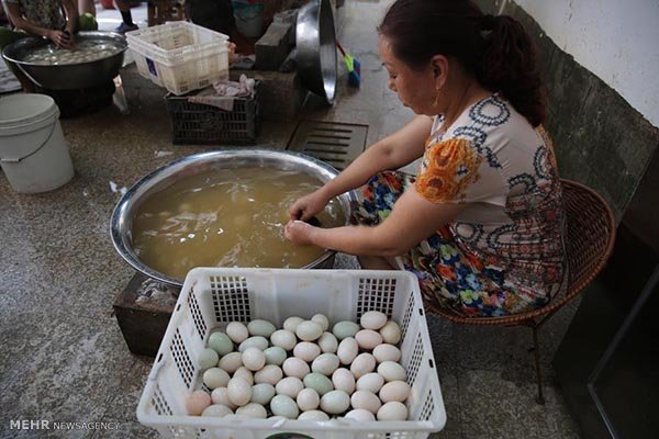 فروش آنلاین تخم اردک توسط یک پیرزن! (+عکس)