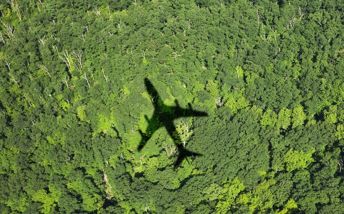 سوخت گیاهی برای هواپیماهای جت؛ گزینه ای سبز و دوستدار محیط زیست