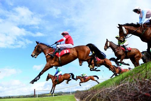 مسابقات اسب سواری در ایرلند
