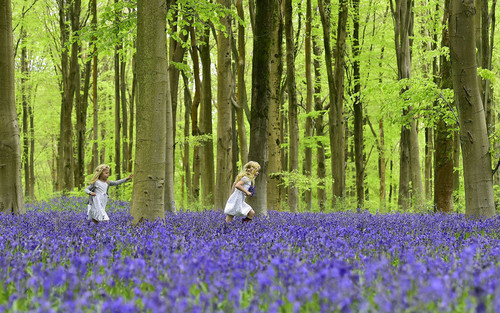 بازی دو دختر بچه در پارکی جنگلی در جنوب انگلیس