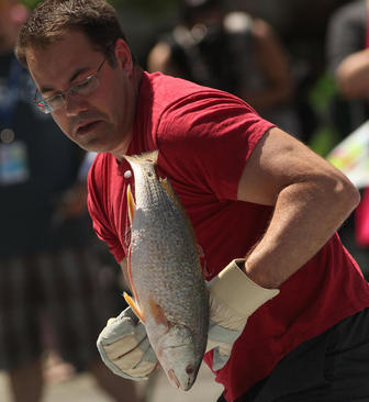 جشنواره سالانه ماهی بازی در شهر سینسیناتی ایالت اوهایو آمریکا