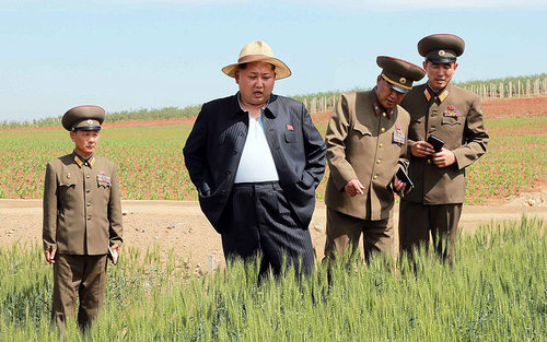 بازدید کیم جونگ اون رهبر کره شمالی از زمین های کشت گندم ارتش 