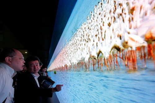 نمایش بزرگ ترین صفحه نمایشگر شرکت سونی در یک نمایشگاه تکنولوژی در توکیو