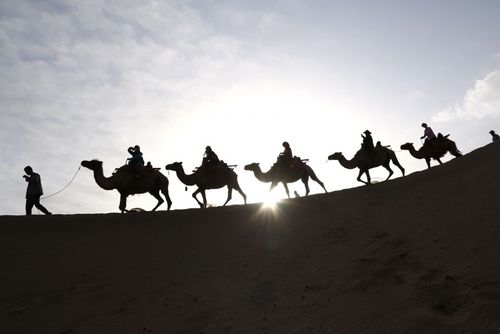 شتر سواری توریست ها در استان جانسو چین
