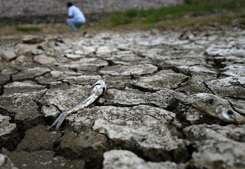 خشک شدن رودخانه در اثر خشکسالی - دالیان چین 
