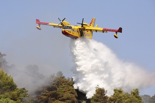 تلاش برای خاموش کردن آتش سوزی جنگل – صربستان