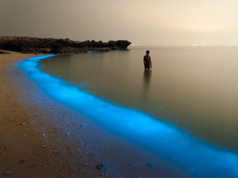 ساحل جزیره لارک ایران در خلیج فارس