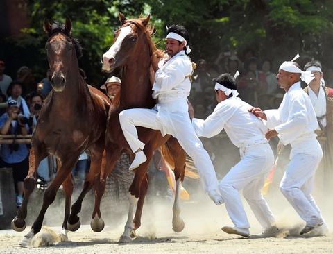 تلاش برای مهار کردن اسب وحشی در جریان یک جشنواره سنتی در ژاپن
