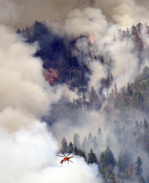 تلاش برای خاموش کردن آتش سوزی جنگل های کالیفرنیا