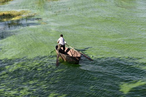 ماهیگیری در رودخانه چائوهو – استان هِفِی چین