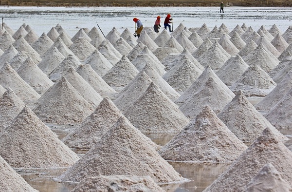 کارگران در حال برداشت نمک – گانسا چین