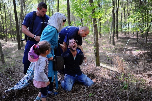 دستگیری خانواده های پناهجوی سوری هنگام ورود از صربستان به داخل محدوده مرزی مجارستان