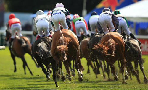 مسابقات اسب سواری- انگلیس