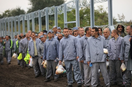 دولت مجارستان از صدها زندانی برای ساختن حائل های مرزی جدید بین مرز خود با صربستان استفاده می کند