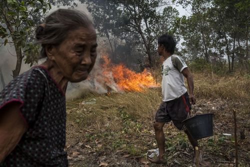 آتش سوزی جنگل در سوماترای اندونزی