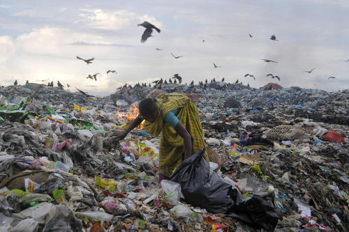 زن بنگلادشی در حال جمع آوری وسایل از یک زباله دانی