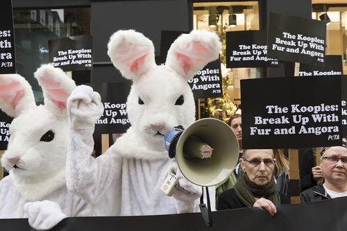اعتراض فعالان حقوق حیوانات به استفاده از پوست خرگوش در مقابل یک فروشگاه تولید لباس در لندن