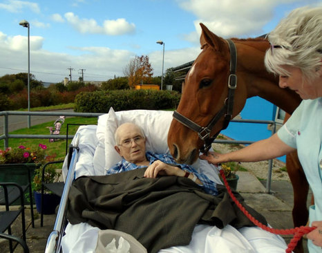 بیمار رو به مرگ در بیمارستانی در انگلیس اجازه یافت پیش از مرگ اسب مورد علاقه اش را برای آخرین بار ببیند