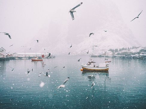 جزایر لوفوتن در نروژ