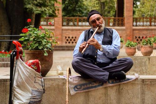 باغ ايرانى تهران- ده ونك- عکس از حمید فروغی
