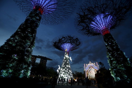 درخت غول پیکر در جمهوری سنگاپور