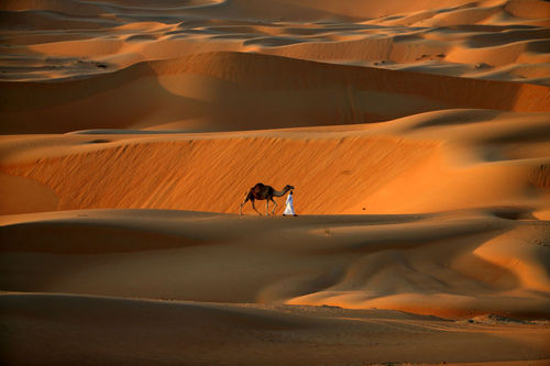 صحرای ابوظبی - امارات