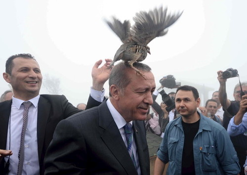 فرود بر سر اردوغان رئیس جمهور ترکیه