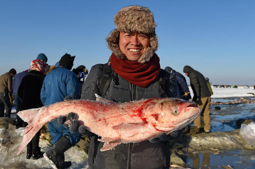 جشنواره سالانه ماهیگیری زمستانی از دریاچه چاگان در جیلین چین