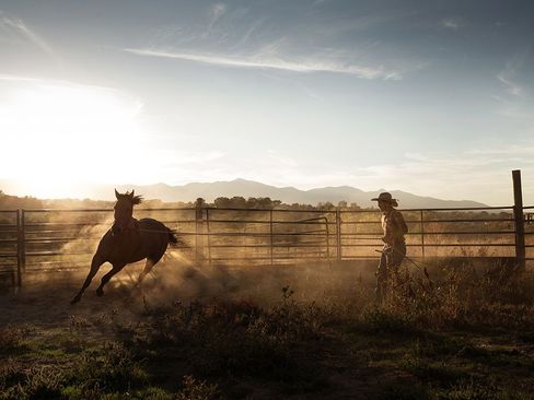 رام کردن اسب وحشی- ایالت یوتا آمریکا