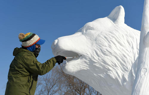 پیکر تراش کره ای در حال ساخت یک مجسمه برفی از خرس در نمایشگاه سازه های برفی و یخی در هاربین چین
