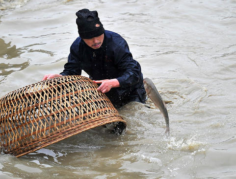 ماهیگیری روستایی چینی 
