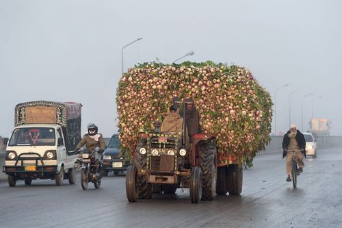 حمل سبزیجات با تراکتور به بازار لاهور پاکستان