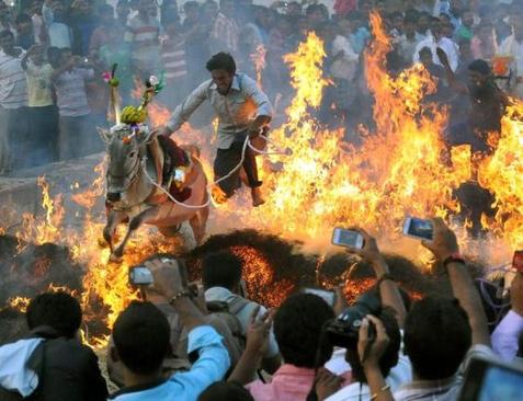عبور از آتش در جریان یک جشنواره آیینی در میسور هند
